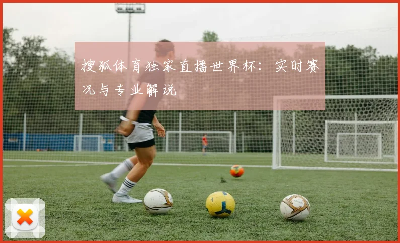 搜狐体育独家直播世界杯:实时赛况与专业解说