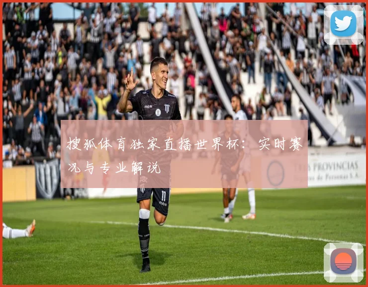 搜狐体育独家直播世界杯:实时赛况与专业解说