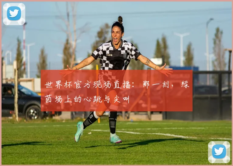 世界杯官方现场直播:那一刻,绿茵场上的心跳与尖叫