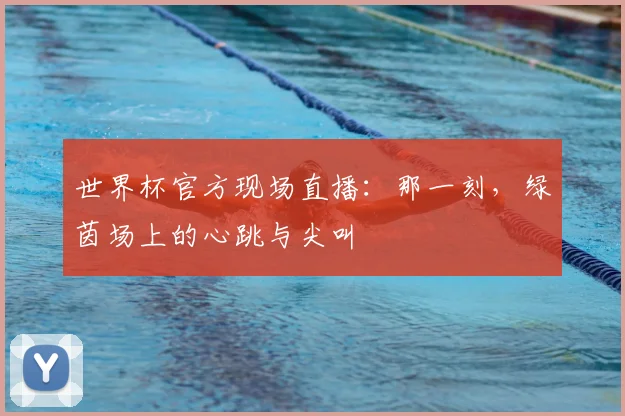 世界杯官方现场直播：那一刻，绿茵场上的心跳与尖叫