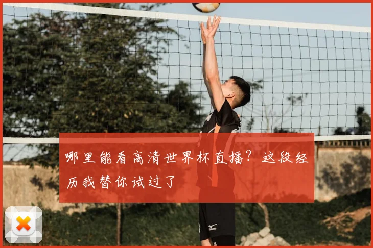 哪里能看高清世界杯直播？这段经历我替你试过了